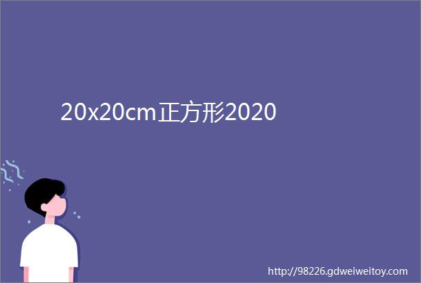 20x20cm正方形2020